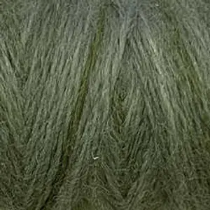 H202 - Withered Green