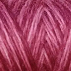 O522 - Raspberry