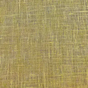 Zesty Lime